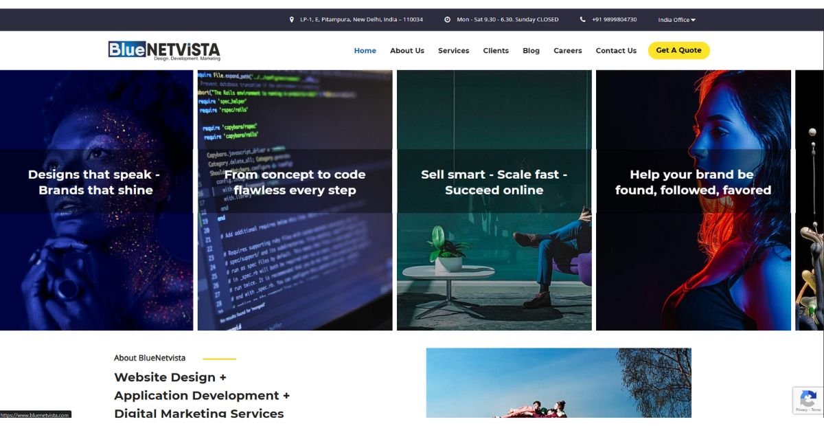 Bluenetvista