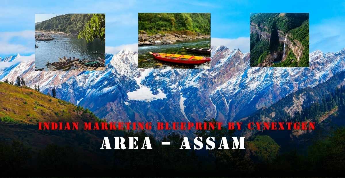 INDIAN MARKETING BLURPRINT BY CYNEXTGEN AREA – ASSAM