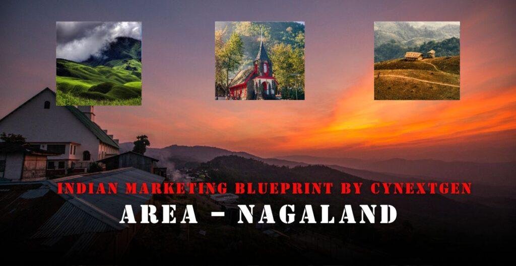 INDIAN MARKETING BLURPRINT BY CYNEXTGEN AREA – NAGALAND