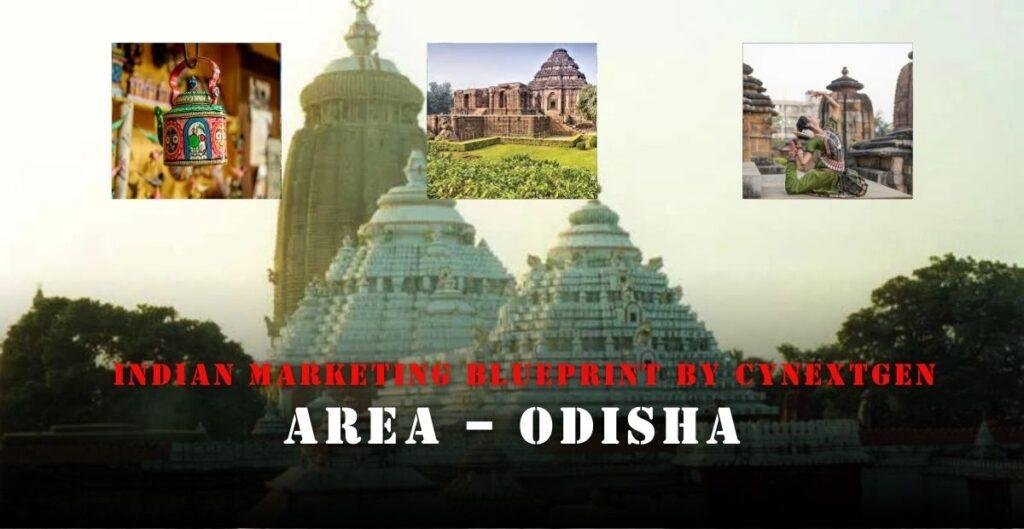 INDIAN MARKETING BLURPRINT BY CYNEXTGEN AREA – ODISHA