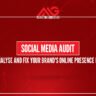 social media audit